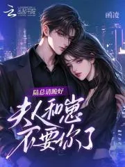 《陆总请跪好，夫人和崽不要你了》小说封面