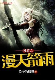 《网游之漫天箭雨》小说封面