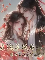 《灵魂互换后:摄政王在后宅杀疯了》小说封面