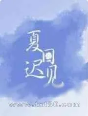 《夏日迟见》小说封面
