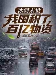 《张奕方雨晴》小说封面