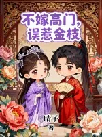 《不嫁高门，误惹金枝》小说封面