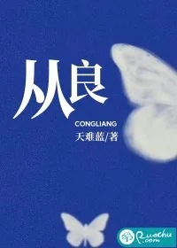 《从良》小说封面