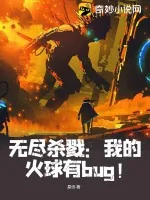 《无尽杀戮:我的火球有bug!》小说封面