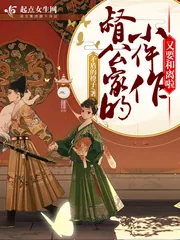 《督公家的小仵作又要和离啦》小说封面