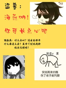 《盗墓:海燕呐,你可长点心吧》小说封面