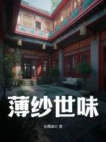 《薄纱世味》小说封面