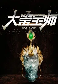 《大鉴宝师》小说封面