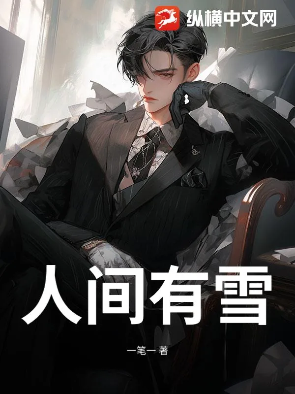 《人间有雪》小说封面