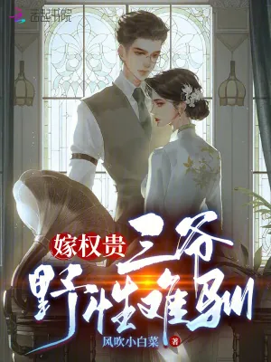 《嫁权贵:三爷野性难驯》小说封面