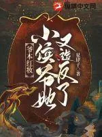 《爷本红妆,小侯爷她又造反了》小说封面