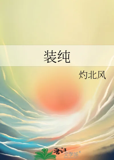 《装纯》小说封面