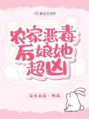 《农家恶毒后娘她超凶》小说封面