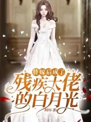 《替嫁后成了残疾大佬的白月光》小说封面