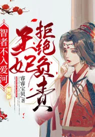《智者不入爱河，王妃拒绝负责》小说封面
