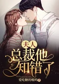 《夫人,总裁他知错了》小说封面