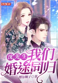 《沈先生，我们婚途同归》小说封面