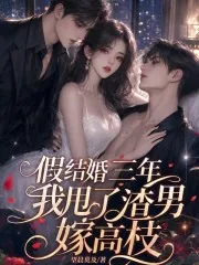 《假结婚三年,我甩了渣男嫁高枝》小说封面