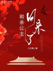 《和亲公主回来了》小说封面