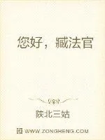 《您好，臧先生》小说封面