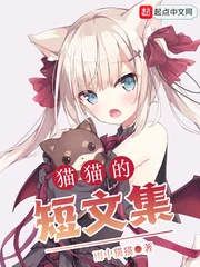 《猫猫的短文集》小说封面