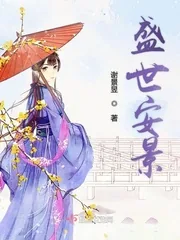 《盛世安景》小说封面