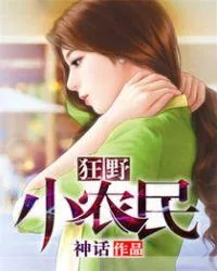 《狂野小农民》小说封面