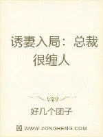 《诱妻入局：总裁很缠人》小说封面