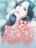 《契约宠婚：叶总的意难平》小说封面