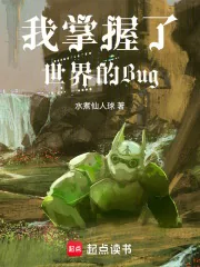 《我掌握了世界的Bug》小说封面