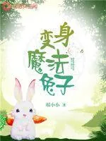 《变身魔法兔子》小说封面