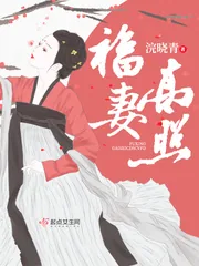 《福妻高照》小说封面
