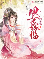 《凤女嫁临》小说封面