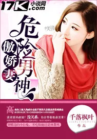 《危险男神傲娇妻》小说封面