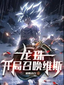 《龙珠：开局召唤维斯》小说封面