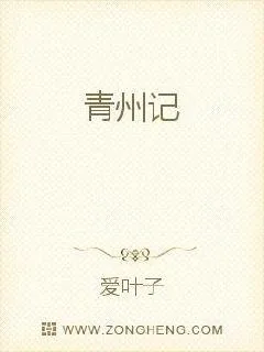 《青州记》小说封面