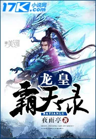 《龙皇霸天录》小说封面