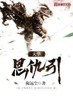《大华恩仇引》小说封面