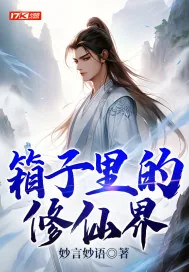 《箱子里的修仙界》小说封面