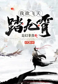 《我欲飞天踏九霄》小说封面