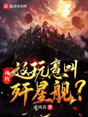 《鸿钧:这玩意叫歼星舰?》小说封面