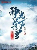 《神光落万里》小说封面