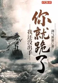 《我还没出手你就跪了》小说封面